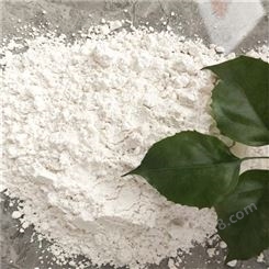 96%含量氢氧化钙熟石灰消石灰粉现货供应生石灰 氧化钙
