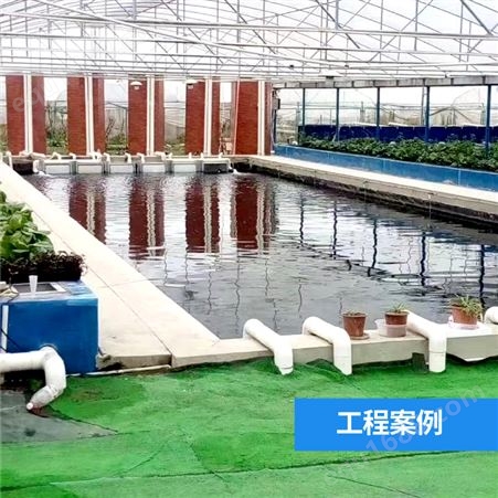 时泽农业 虾菜共生系统 白对虾工厂化生态养殖设备 鱼菜共生工程