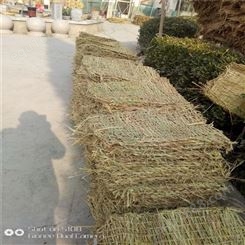 草袋 包袋供应厂家 批发价格 低金磊草木制品