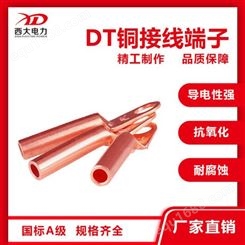 DT铜鼻子 接线鼻子DT系列铜铝鼻子接线端子