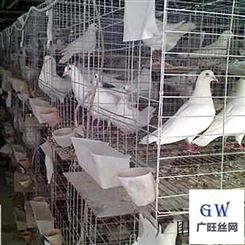 立体式鸽笼 养殖设备 铁丝笼层叠笼 工厂