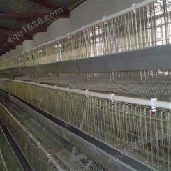 立体育雏鸡笼 鸡笼厂家 广旺 金属鸡笼 销售供应