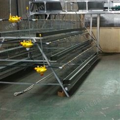 蛋种鸡笼报价 三层阶梯式鸡笼厂家供应 自动拾蛋肉鸡笼价格 量大