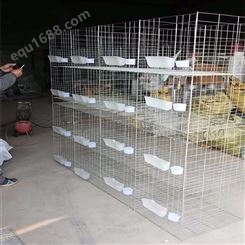 安平厂家 出售 铁丝笼 鸽子笼 鸽笼 繁殖笼 养殖鸽笼