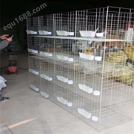 安平厂家 出售 铁丝笼 鸽子笼 鸽笼 繁殖笼 养殖鸽笼