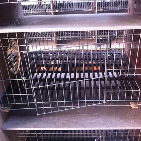 商品兔笼 欧式兔笼规格 兔子笼可定制 广旺