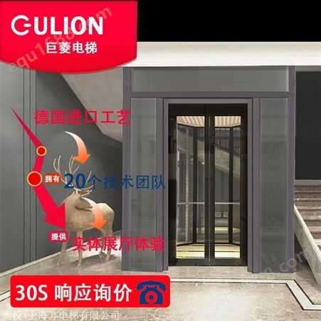 厂家直供别墅小电梯 Gulion/巨菱三层家庭别墅观光电梯 私人定制