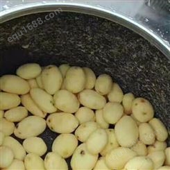 脱皮干净的土豆脱皮机 电动地瓜去皮机 不伤果肉 可定做多型号