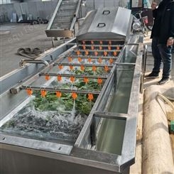 商用黄桃气泡清洗风干流水线大型蔬菜净菜加工设备厂家芹菜清洗机