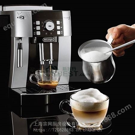 Delonghi/德龙意式咖啡机豆粉两用Delonghi/德龙 ECAM 21.117.SB