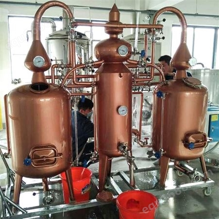 白兰地蒸馏设备 专业酒制作生产装备 工艺出酒快