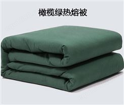 棉絮褥子床上用品批发舒适柔软棉花被芯棉胎加厚保暖冬被被子