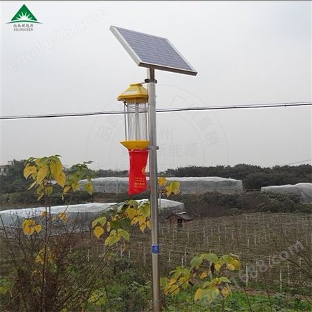 扬州厂家出售太阳能杀虫灯自动清虫频振式灭虫灯