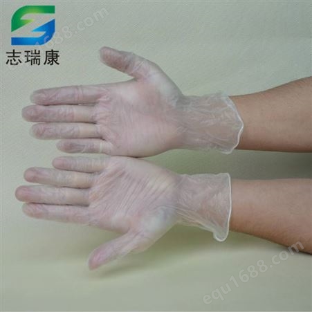 一次性透明PVC手套 9寸无粉PVC手套
