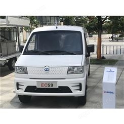 汕尾瑞驰新能源EC59面包车车型