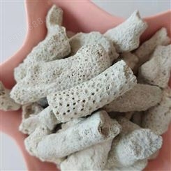 河北珊瑚石厂家 鱼缸滤材 珊瑚骨旭昂