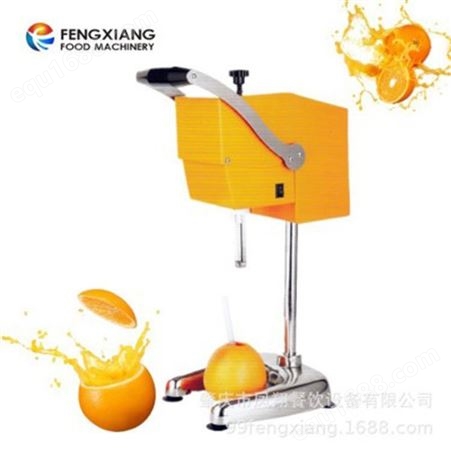 凤翔  小型橙汁机 吧台榨汁机果汁机