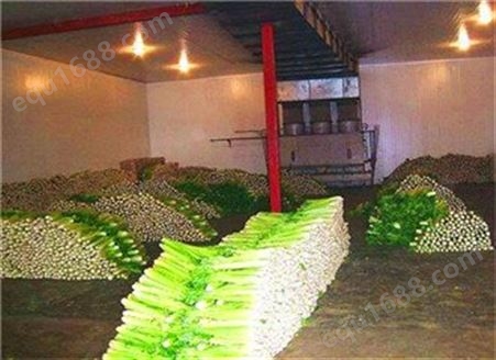 贵州蔬菜保鲜库 工业制冷设备冷库安装