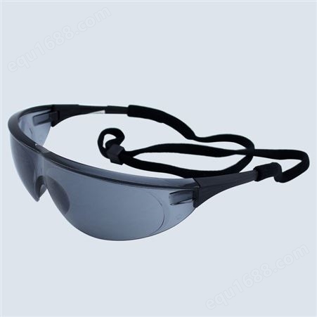 霍尼韦尔1004947/5986防雾防护眼镜