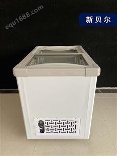 XBR馒头面食 低温冷冻箱冰箱低温速冻冰柜 低温保存冷柜