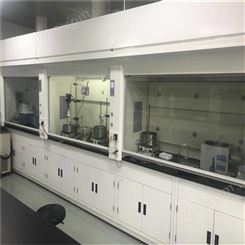 白龙马 实验室家具通风柜、橱 全钢 pp 源头工厂材质尺寸均可定制
