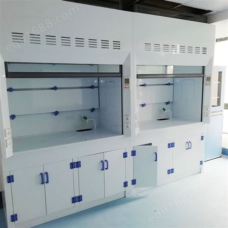 白龙马 实验室家具通风柜、橱 全钢 pp 源头工厂材质尺寸均可定制