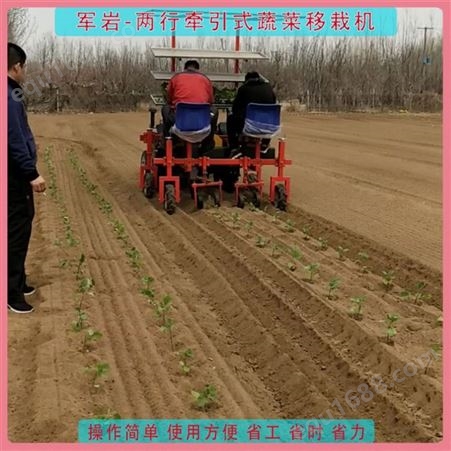 两行辣椒移栽机 军岩牵引式蔬菜小苗栽植机器 JY-YZJ032