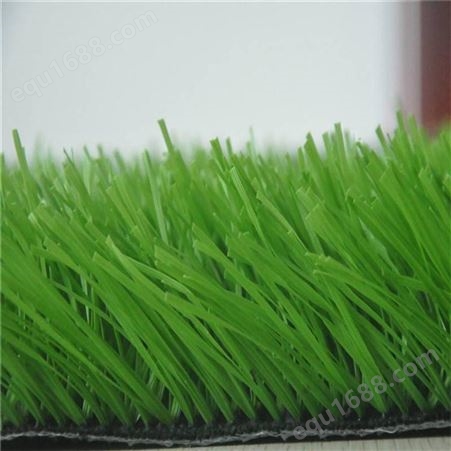 塑料草坪 室外人工草皮 厚度可定制