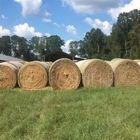 农用捆草网 打捆机用网 聚丙烯牧草网 秸秆稻草打包网 可定制